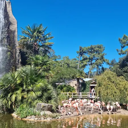 Casa vacanze 3 Bedroom Cozy In *